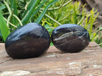 Polished Pharaoh Stone Palm Stones x 12 From Zimbabwe - Toprock Gemstones and Minerals 