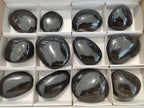 Polished Pharaoh Stone Palm Stones x 12 From Zimbabwe - Toprock Gemstones and Minerals 