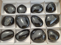 Polished Pharaoh Stone Palm Stones x 12 From Zimbabwe - Toprock Gemstones and Minerals 
