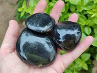 Polished Pharaoh Stone Palm Stones x 12 From Zimbabwe - Toprock Gemstones and Minerals 