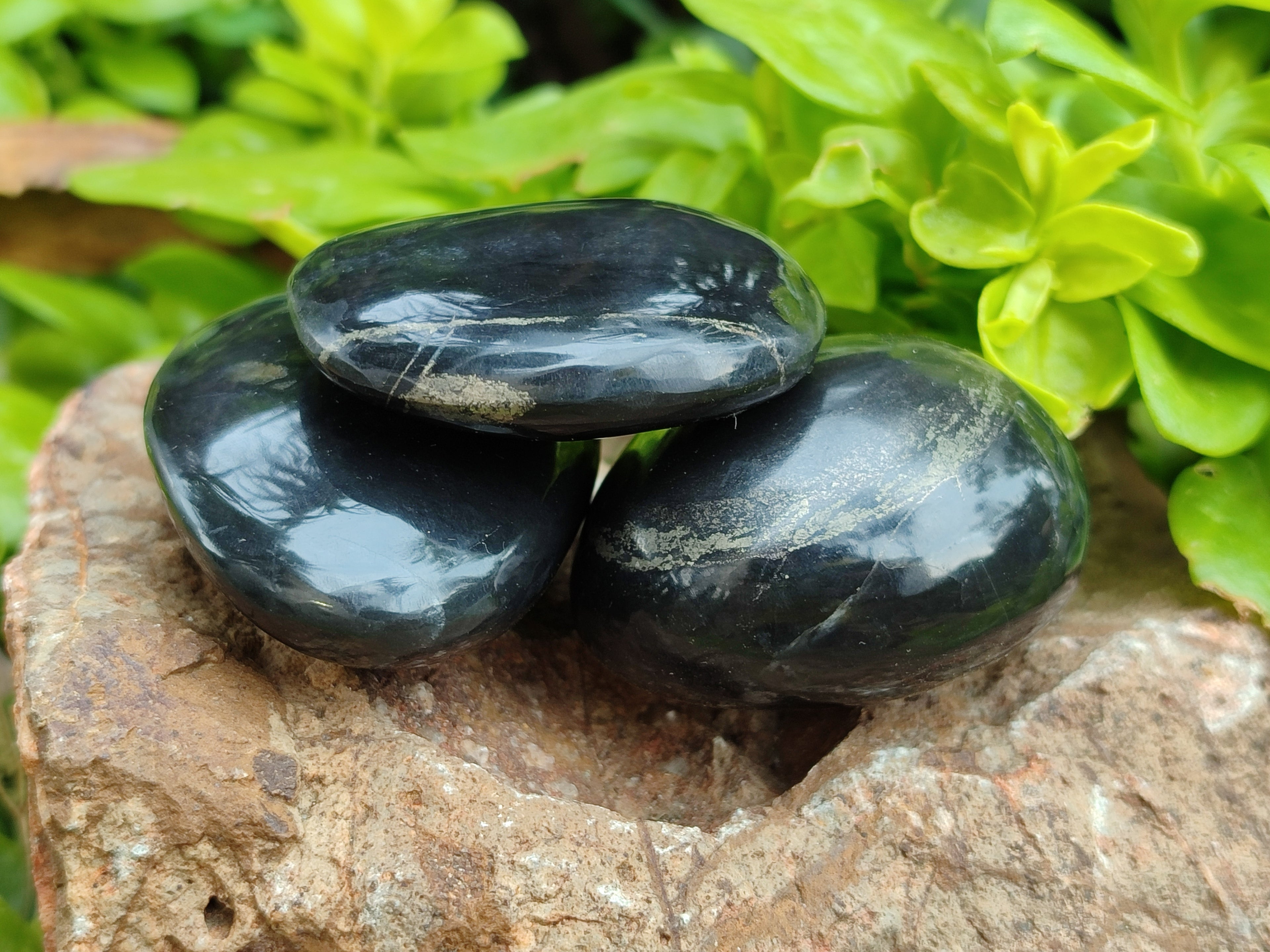 Polished Pharaoh Stone Palm Stones x 12 From Zimbabwe - Toprock Gemstones and Minerals 
