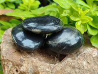 Polished Pharaoh Stone Palm Stones x 12 From Zimbabwe - Toprock Gemstones and Minerals 