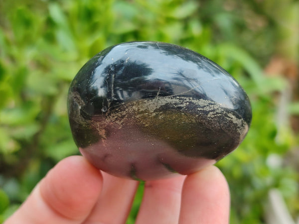 Polished Pharaoh Stone Palm Stones x 12 From Zimbabwe - Toprock Gemstones and Minerals 