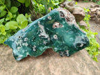Polished On One Side Emerald Mtorolite x 1 From Mutorashanga, Zimbabwe - Toprock Gemstones and Minerals 
