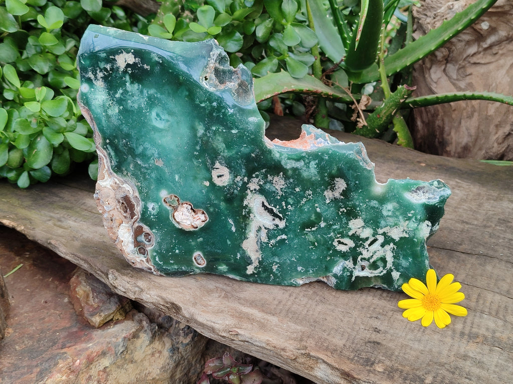 Polished On One Side Emerald Mtorolite x 1 From Mutorashanga, Zimbabwe - Toprock Gemstones and Minerals 