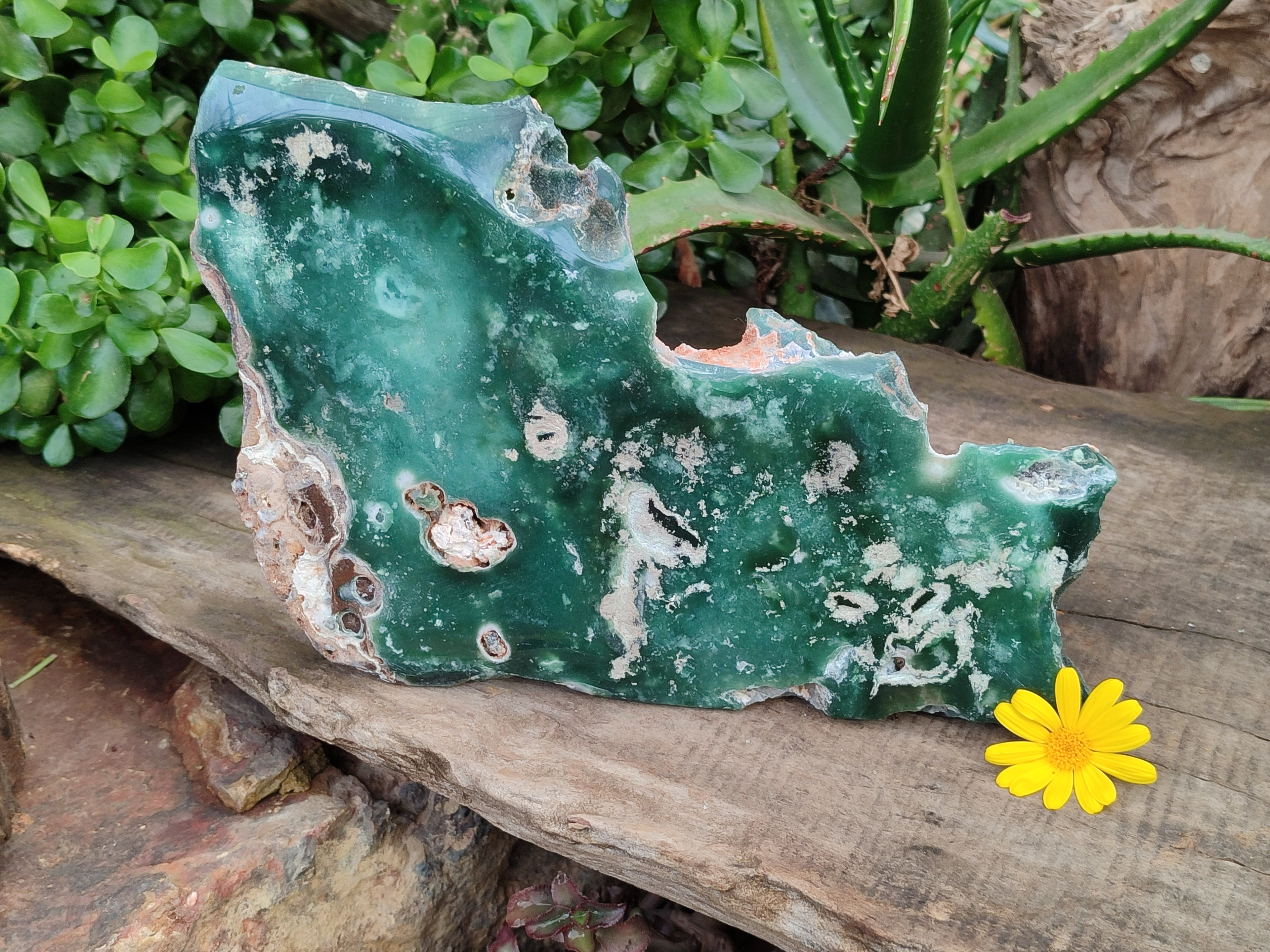 Polished On One Side Emerald Mtorolite x 1 From Mutorashanga, Zimbabwe - Toprock Gemstones and Minerals 