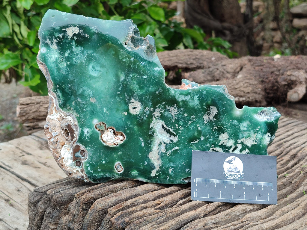 Polished On One Side Emerald Mtorolite x 1 From Mutorashanga, Zimbabwe - Toprock Gemstones and Minerals 