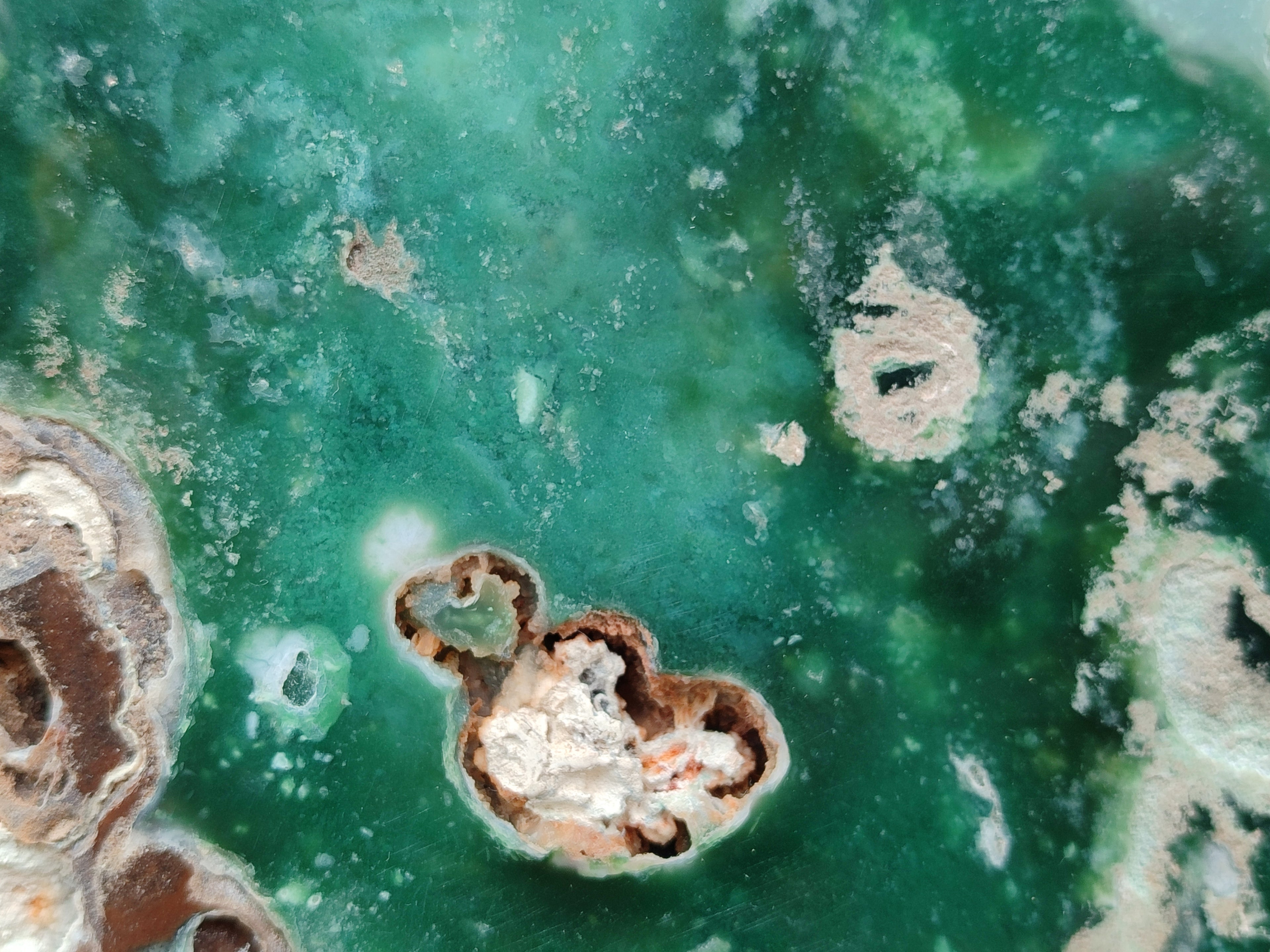 Polished On One Side Emerald Mtorolite x 1 From Mutorashanga, Zimbabwe - Toprock Gemstones and Minerals 