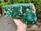 Polished On One Side Emerald Mtorolite x 1 From Mutorashanga, Zimbabwe - Toprock Gemstones and Minerals 