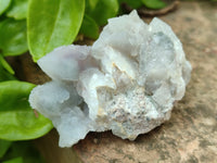 Natural Spirit Quartz Clusters x 12 From Boekenhouthoek, South Africa - Toprock Gemstones and Minerals 