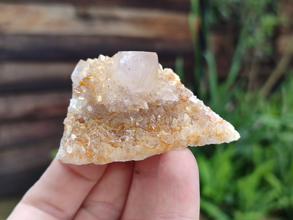 Natural Spirit Quartz Clusters x 12 From Boekenhouthoek, South Africa - Toprock Gemstones and Minerals 