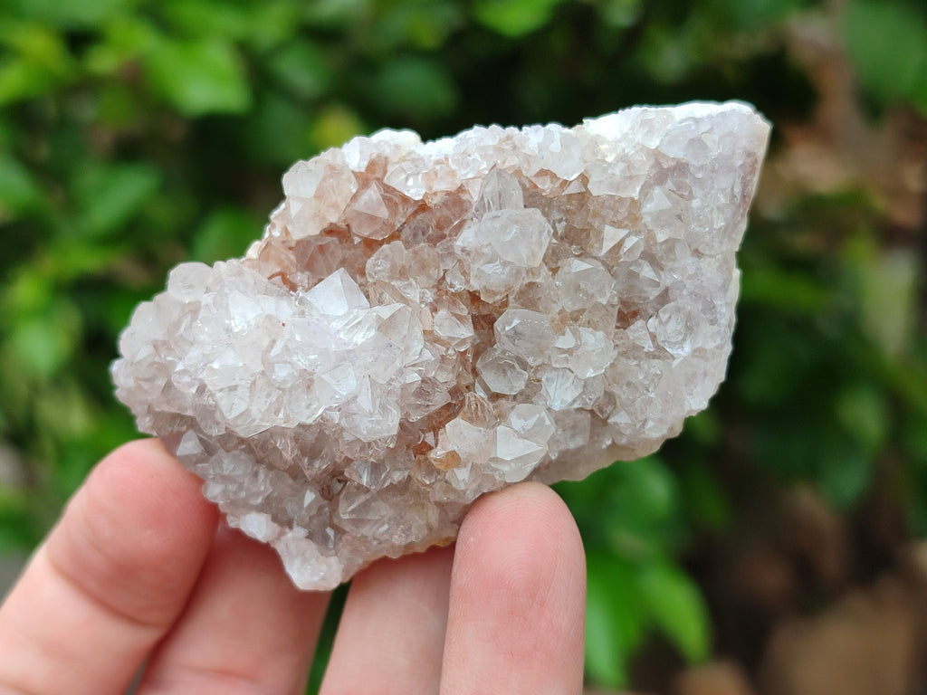 Natural Spirit Quartz Clusters x 12 From Boekenhouthoek, South Africa - Toprock Gemstones and Minerals 
