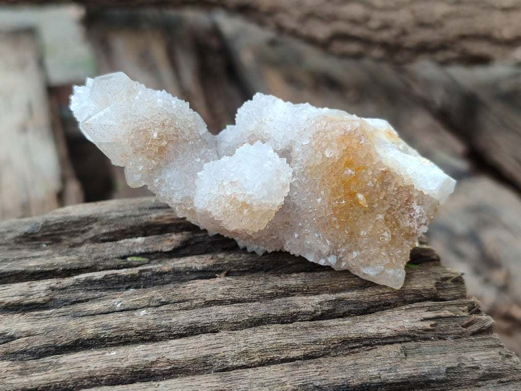 Natural Spirit Quartz Clusters x 12 From Boekenhouthoek, South Africa - Toprock Gemstones and Minerals 