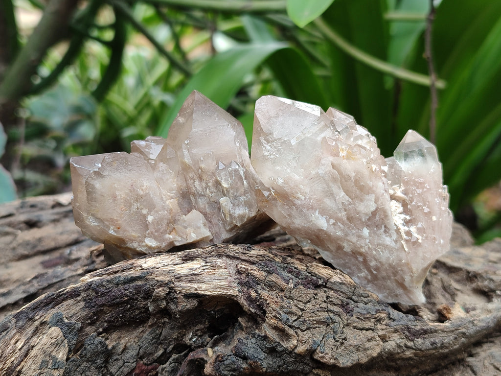Natural Smokey Phantom Quartz Clusters x 18 From Luena, Congo - Toprock Gemstones and Minerals 
