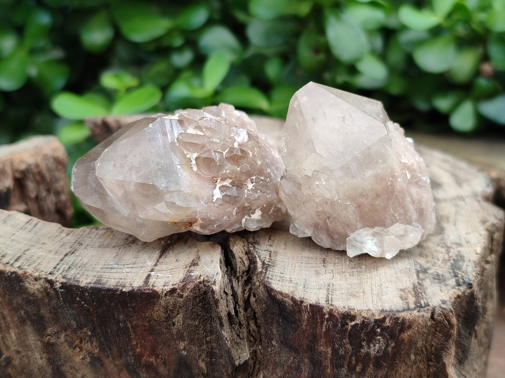 Natural Smokey Phantom Quartz Clusters x 18 From Luena, Congo - Toprock Gemstones and Minerals 