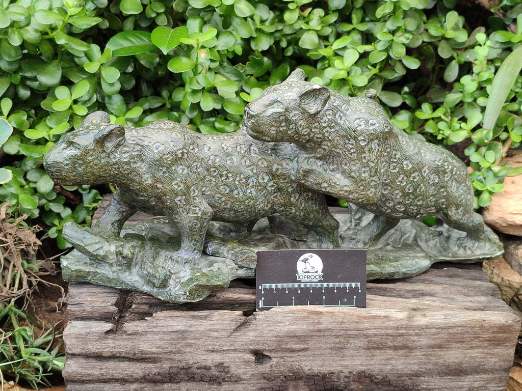 Hand Made Green Verdite Leopard Carving x 1 From Zimbabwe - Toprock Gemstones and Minerals 
