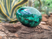 Polished Flower Banded Malachite Gemstone Eggs x 2 From Congo - Toprock Gemstones and Minerals 
