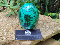 Polished Flower Banded Malachite Gemstone Eggs x 2 From Congo - Toprock Gemstones and Minerals 