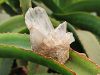 Natural Mixed Quartz Clusters x 35 From Madagascar - Toprock Gemstones and Minerals 