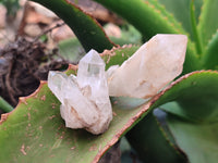 Natural Mixed Quartz Clusters x 35 From Madagascar - Toprock Gemstones and Minerals 