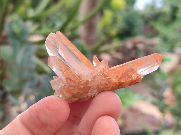 Natural Mixed Quartz Clusters x 35 From Madagascar - Toprock Gemstones and Minerals 
