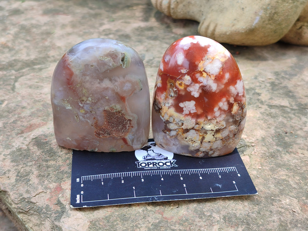 Polished Flower Agate Standing Free Forms x 12 From Madagascar - Toprock Gemstones and Minerals 
