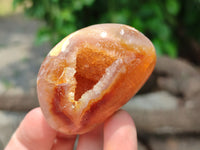 Polished Flower Agate Standing Free Forms x 12 From Madagascar - Toprock Gemstones and Minerals 