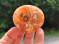 Polished Flower Agate Standing Free Forms x 12 From Madagascar - Toprock Gemstones and Minerals 