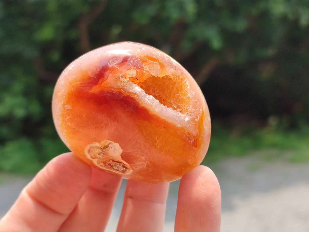 Polished Flower Agate Standing Free Forms x 12 From Madagascar - Toprock Gemstones and Minerals 