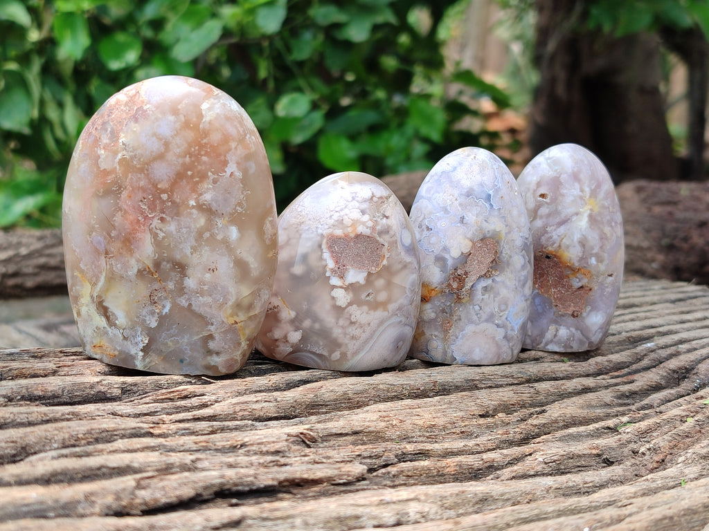 Polished Flower Agate Standing Free Forms x 12 From Madagascar - Toprock Gemstones and Minerals 