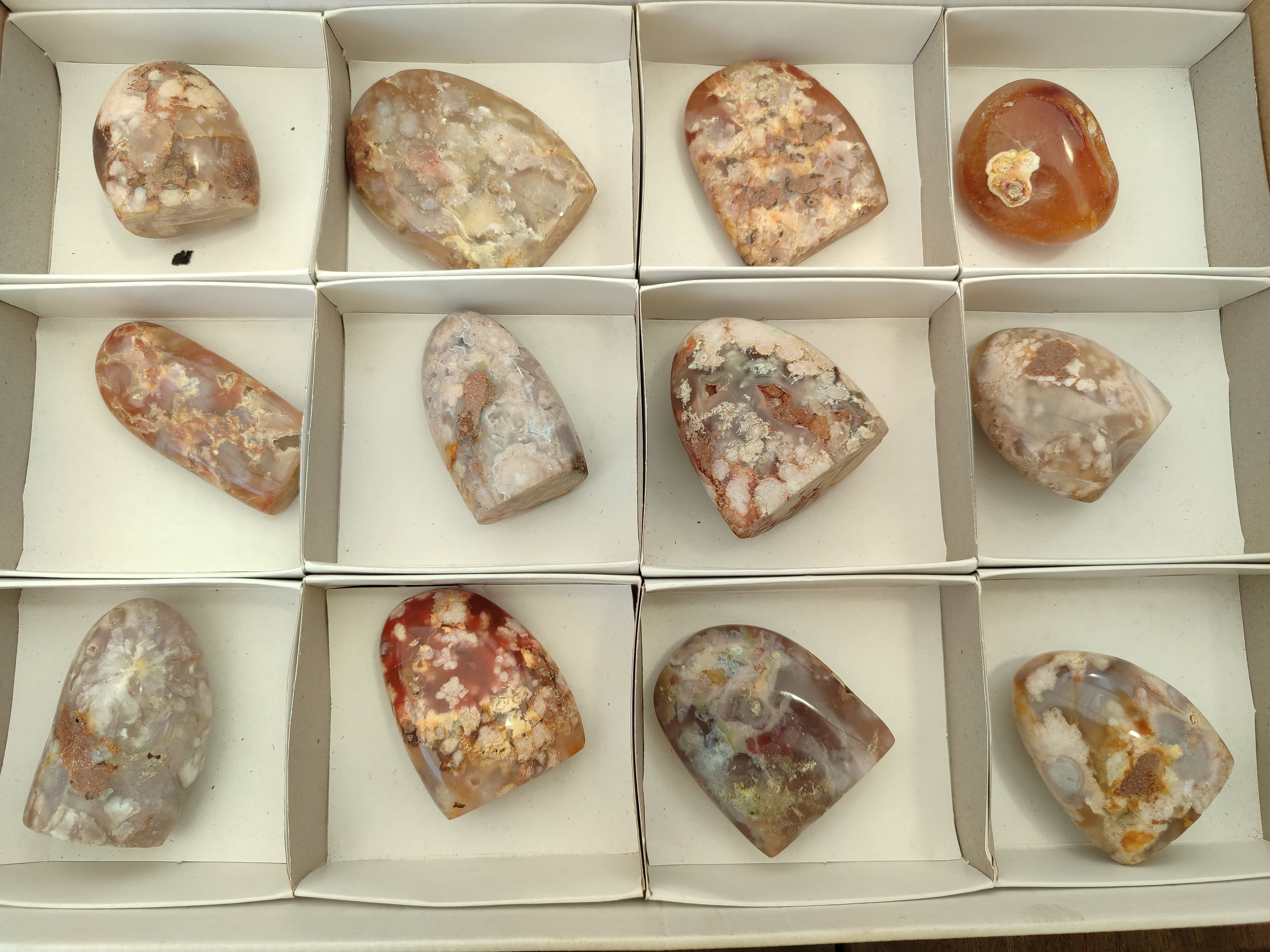 Polished Flower Agate Standing Free Forms x 12 From Madagascar - Toprock Gemstones and Minerals 