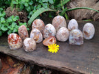 Polished Flower Agate Standing Free Forms x 12 From Madagascar - Toprock Gemstones and Minerals 