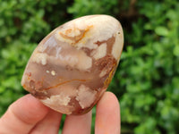 Polished Flower Agate Standing Free Forms x 12 From Madagascar - Toprock Gemstones and Minerals 