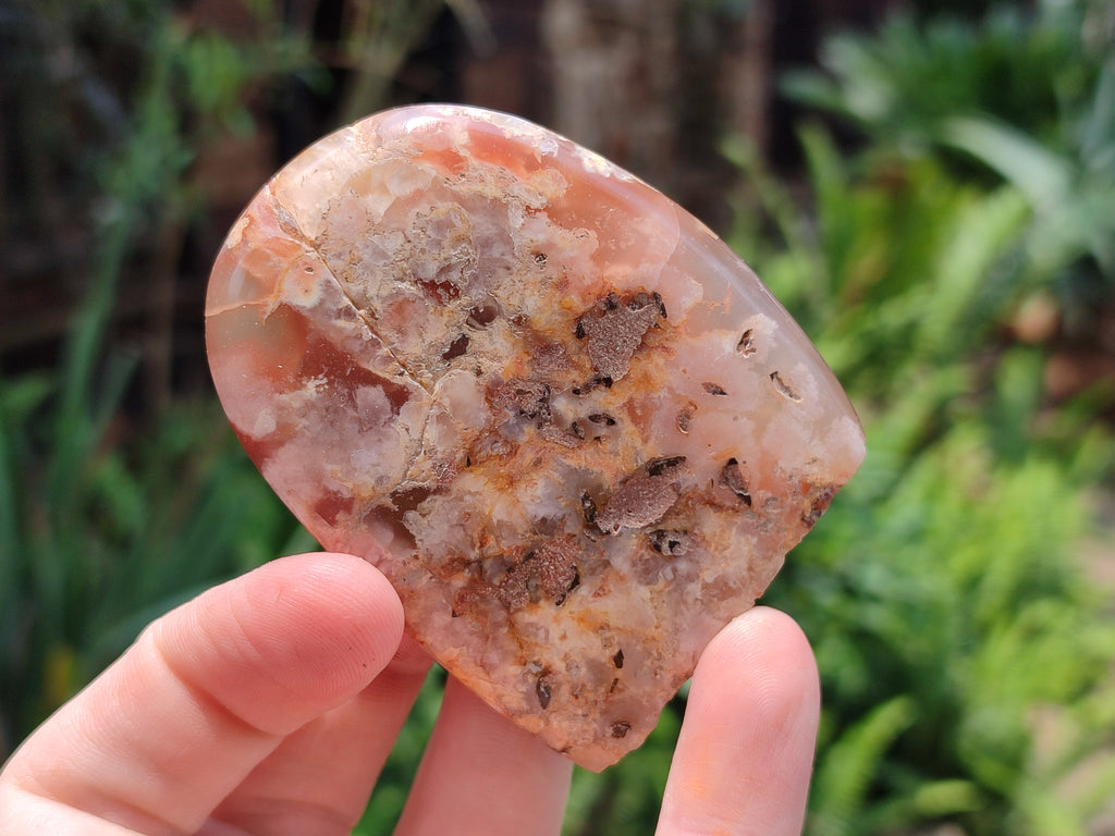 Polished Flower Agate Standing Free Forms x 12 From Madagascar - Toprock Gemstones and Minerals 