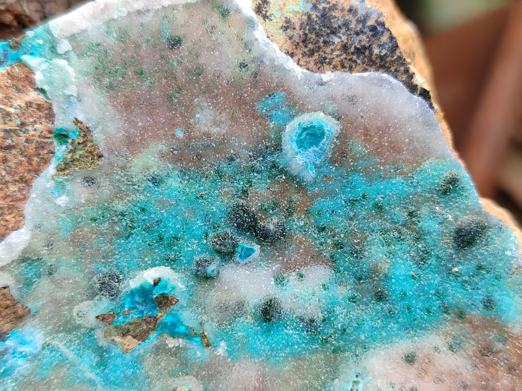 Natural Drusy Coated Chrysocolla Specimen x 1 From Likasi, Congo - Toprock Gemstones and Minerals 