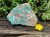 Natural Drusy Coated Chrysocolla Specimen x 1 From Likasi, Congo - Toprock Gemstones and Minerals 
