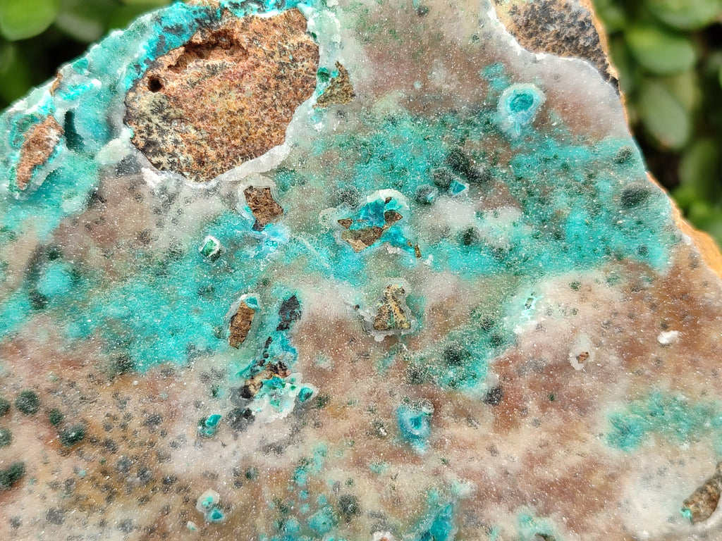 Natural Drusy Coated Chrysocolla Specimen x 1 From Likasi, Congo - Toprock Gemstones and Minerals 