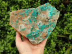 Natural Drusy Coated Chrysocolla Specimen x 1 From Likasi, Congo - Toprock Gemstones and Minerals 