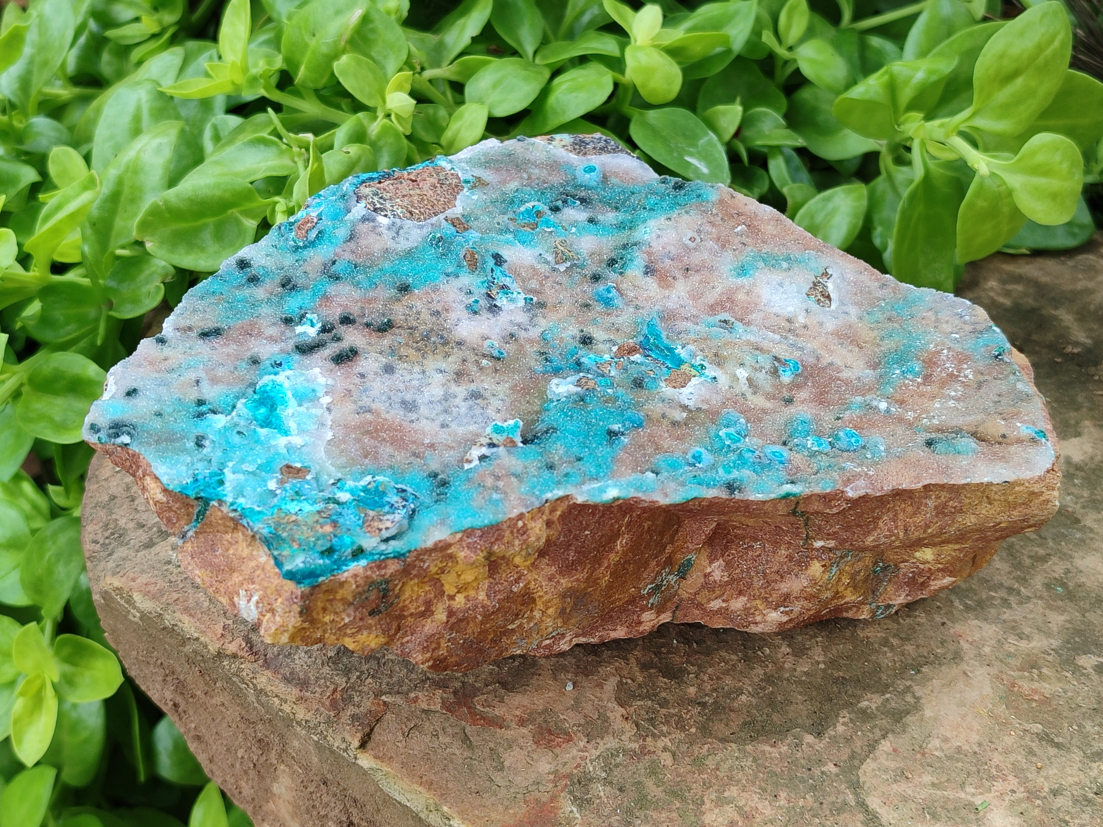 Natural Drusy Coated Chrysocolla Specimen x 1 From Likasi, Congo - Toprock Gemstones and Minerals 