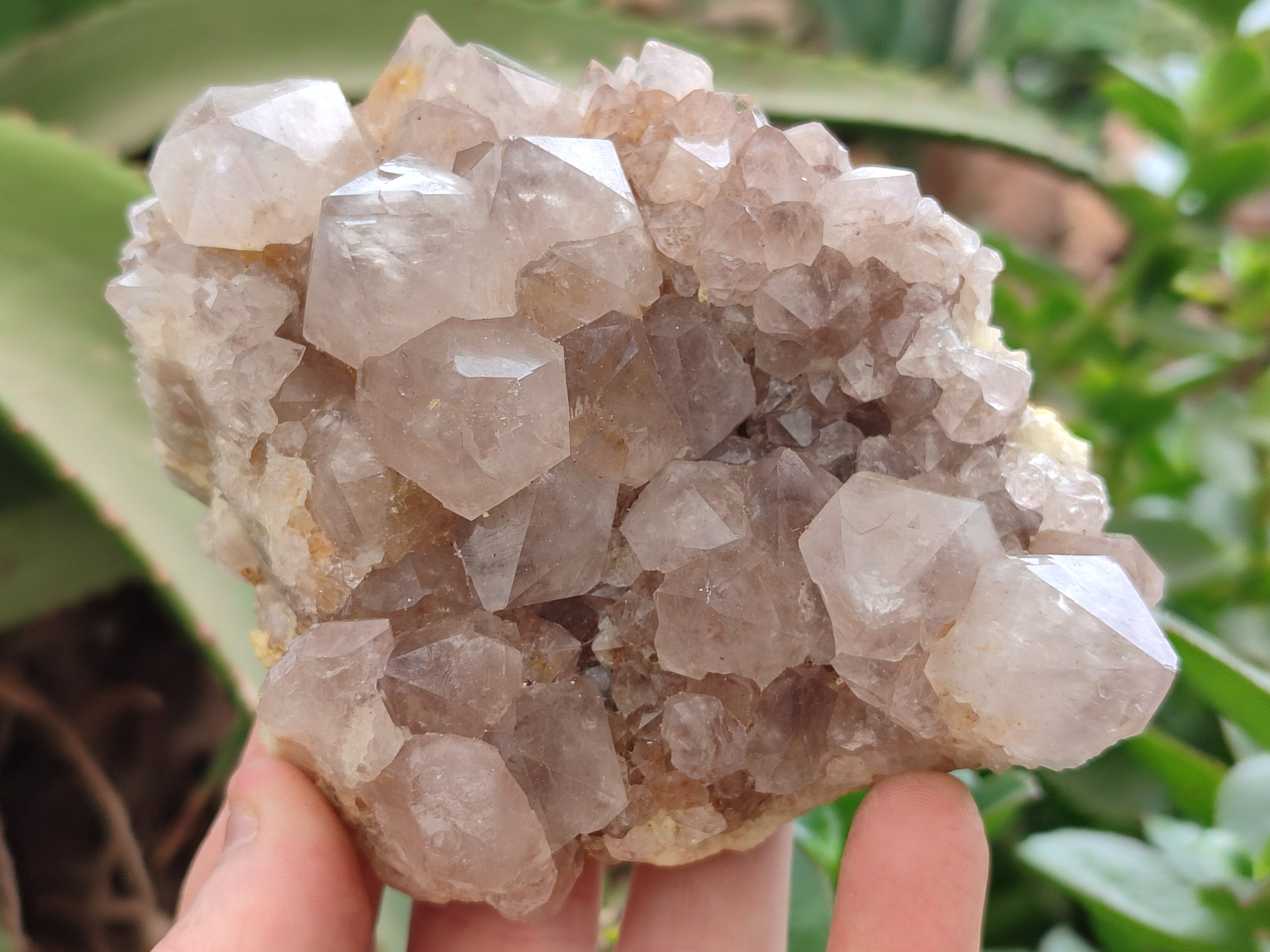Natural Spirit Quartz Clusters x 9 From Boekenhouthoek, South Africa - Toprock Gemstones and Minerals 