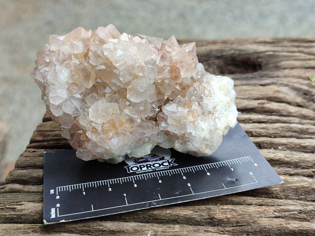 Natural Spirit Quartz Clusters x 9 From Boekenhouthoek, South Africa - Toprock Gemstones and Minerals 