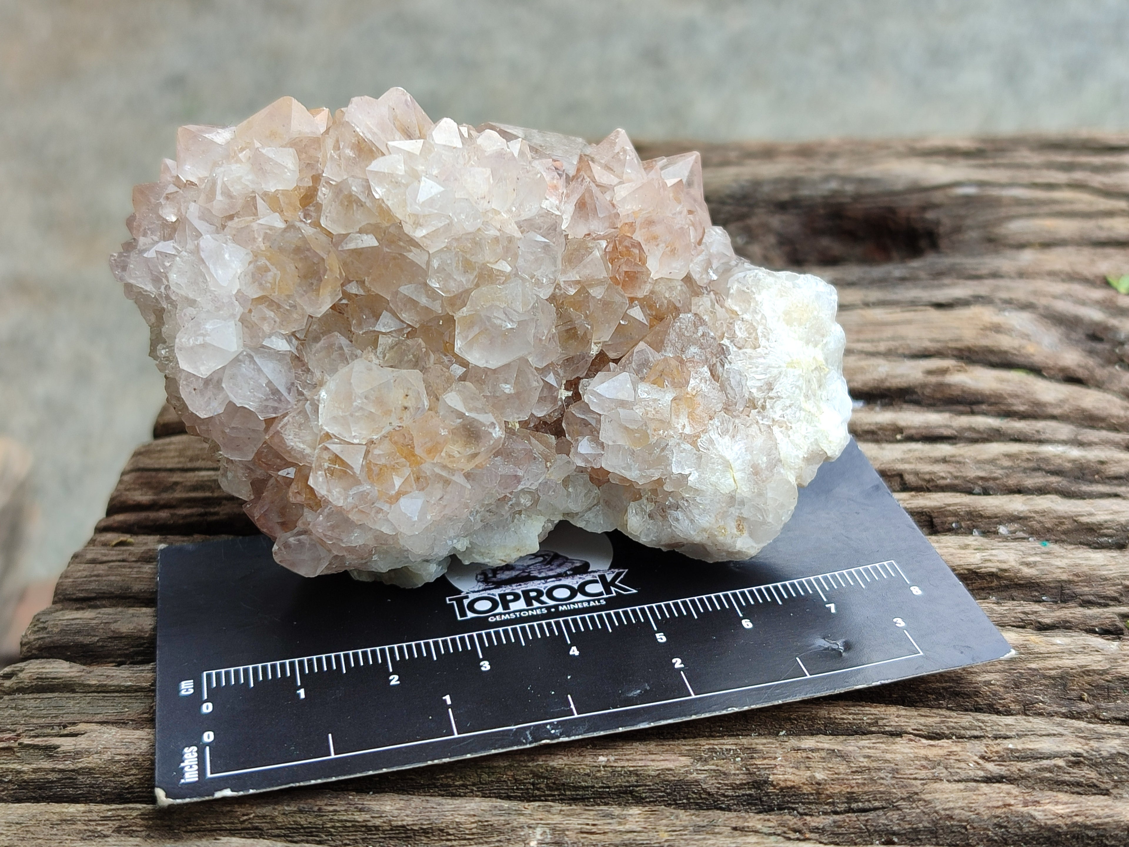 Natural Spirit Quartz Clusters x 9 From Boekenhouthoek, South Africa - Toprock Gemstones and Minerals 