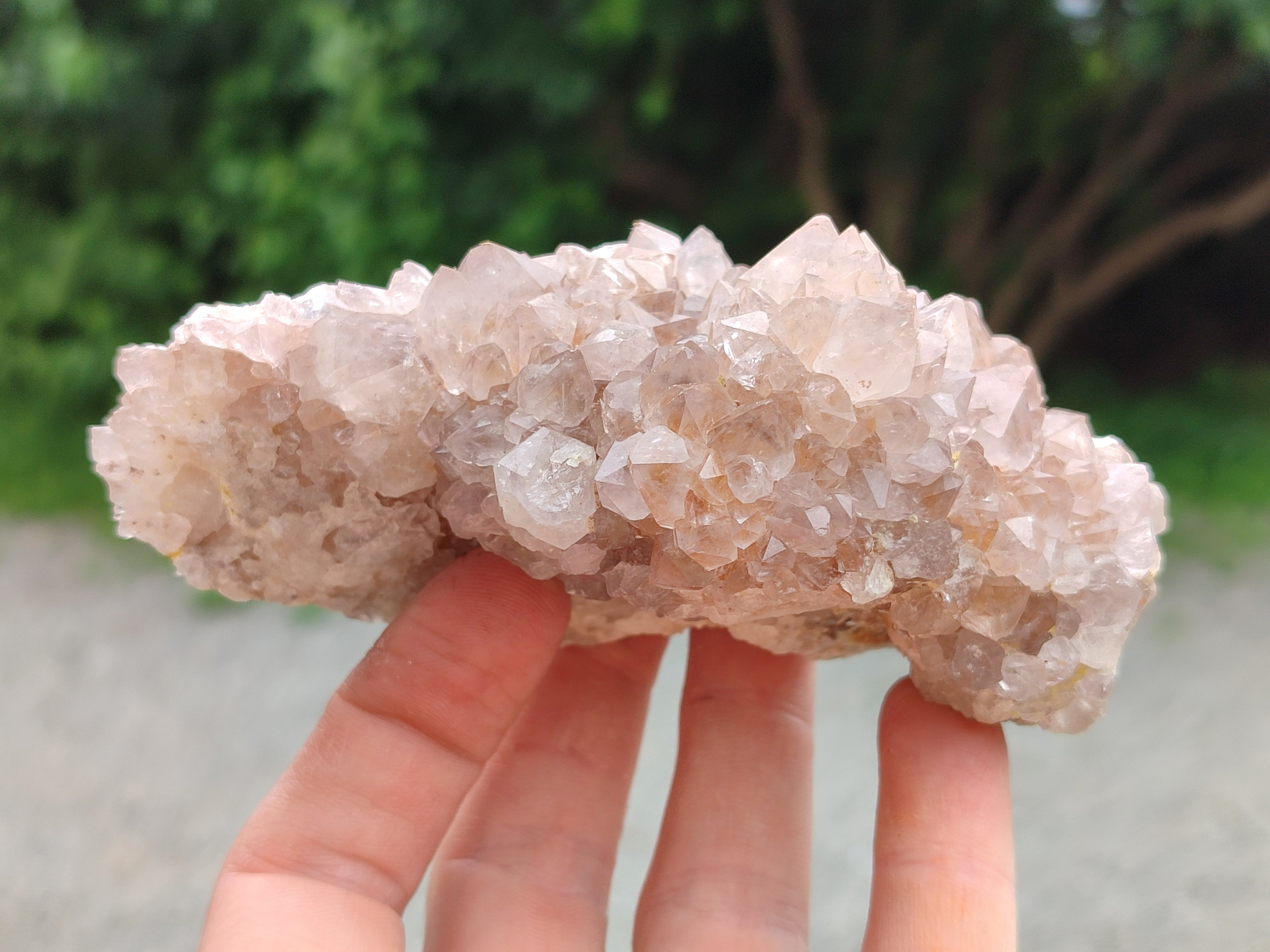 Natural Spirit Quartz Clusters x 9 From Boekenhouthoek, South Africa - Toprock Gemstones and Minerals 