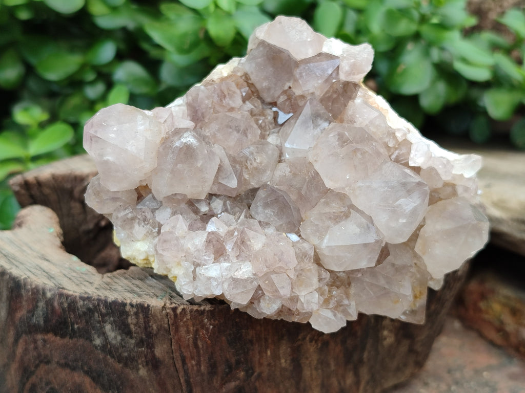 Natural Spirit Quartz Clusters x 9 From Boekenhouthoek, South Africa - Toprock Gemstones and Minerals 