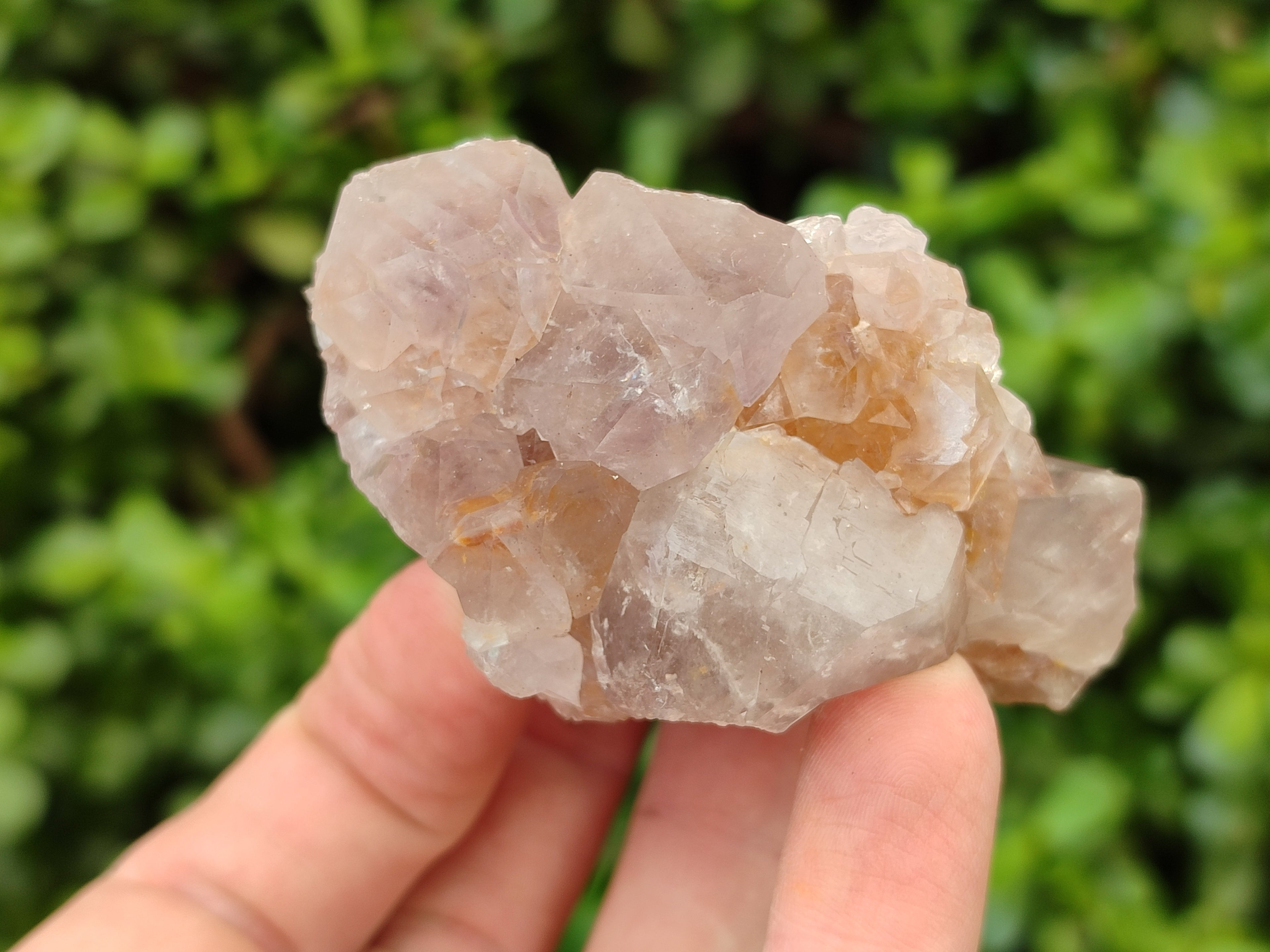 Natural Spirit Quartz Clusters x 9 From Boekenhouthoek, South Africa - Toprock Gemstones and Minerals 