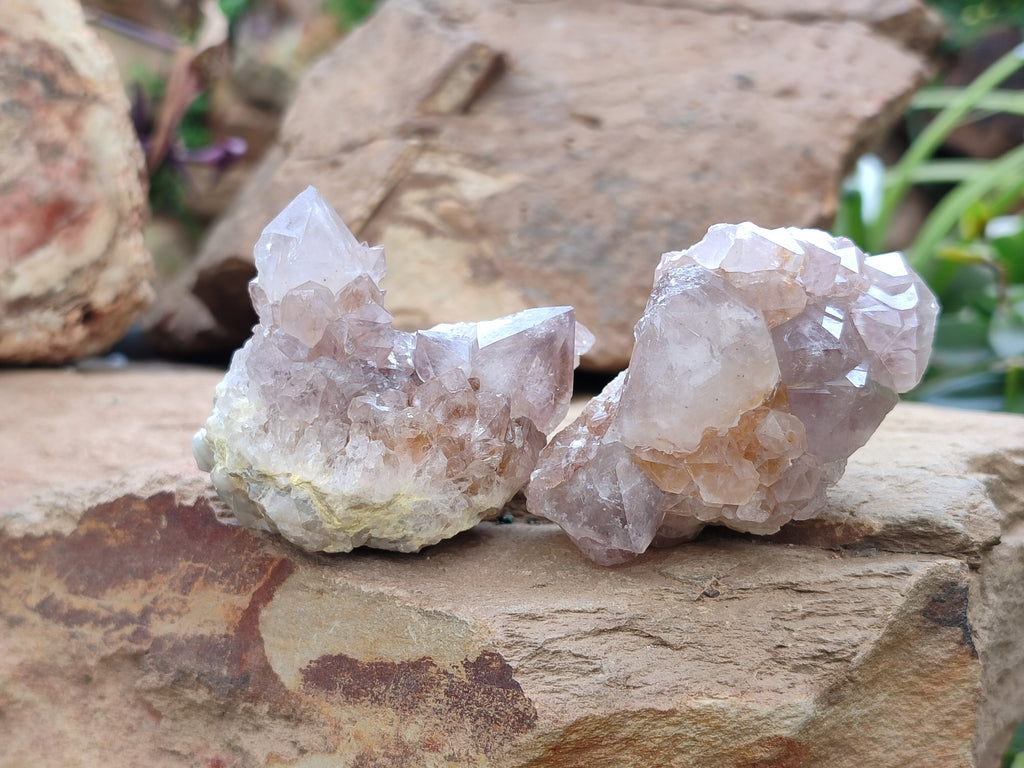 Natural Spirit Quartz Clusters x 9 From Boekenhouthoek, South Africa - Toprock Gemstones and Minerals 
