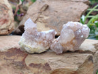 Natural Spirit Quartz Clusters x 9 From Boekenhouthoek, South Africa - Toprock Gemstones and Minerals 