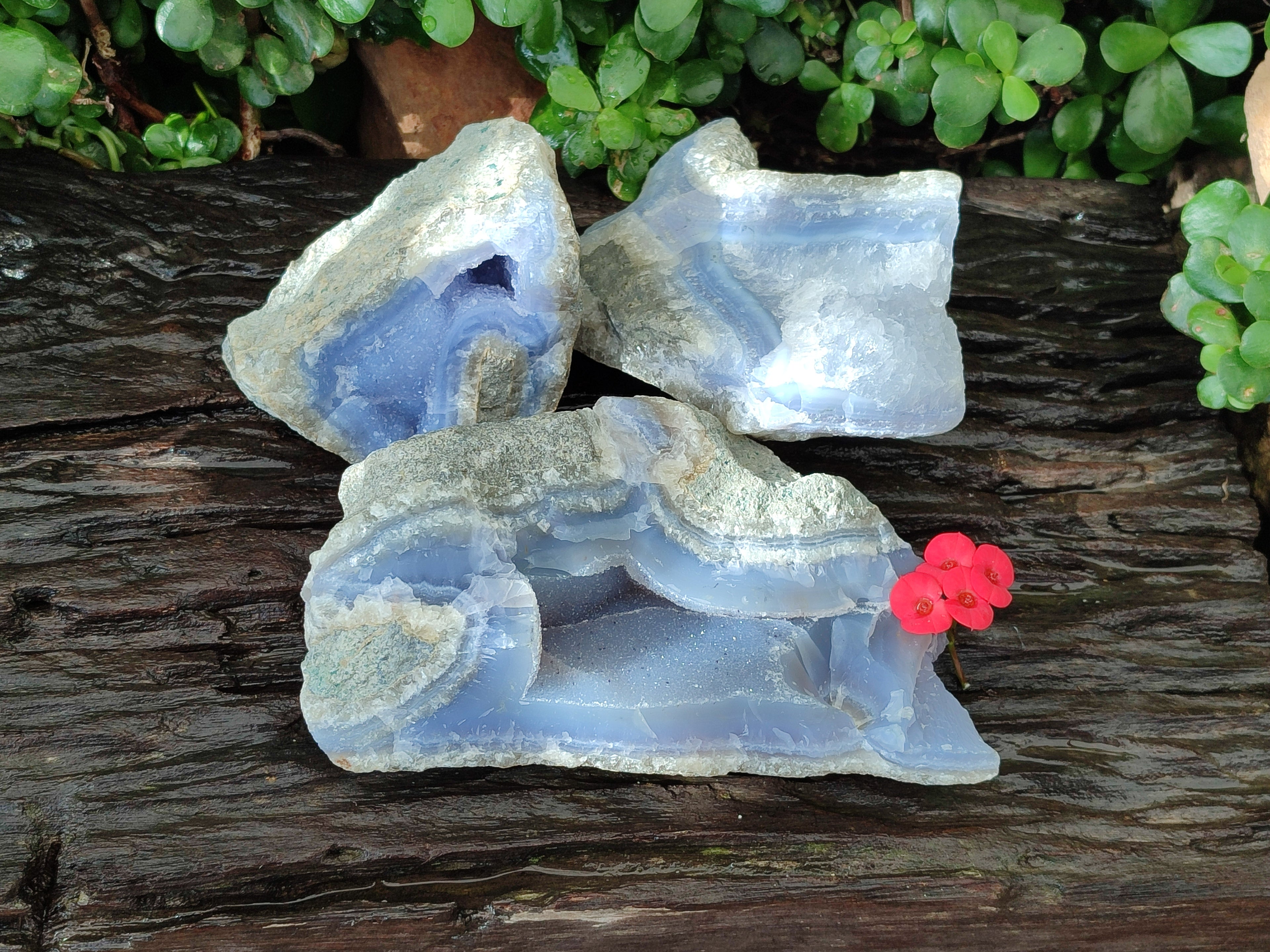 Natural Blue Lace Agate Geode Specimens x 3 From Malawi - Toprock Gemstones and Minerals 