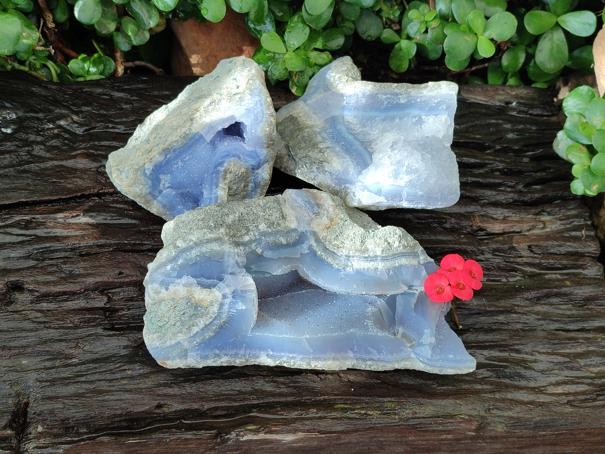 Natural Blue Lace Agate Geode Specimens x 3 From Malawi - Toprock Gemstones and Minerals 
