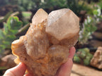 Natural Smokey Phantom Quartz Clusters x 2 From Luena, Congo - Toprock Gemstones and Minerals 
